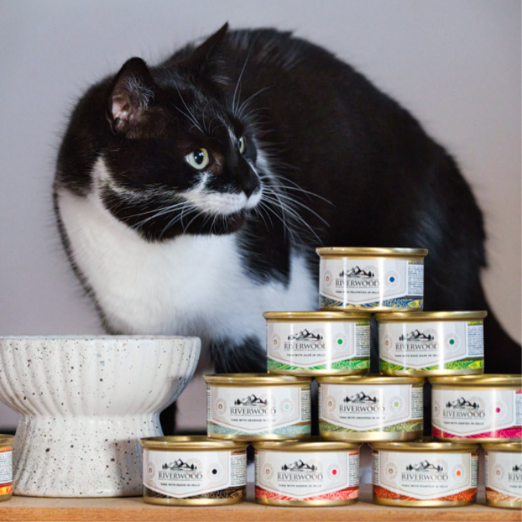 Nassfutter für Katzen mit Fisch | Thunfisch mit Bernsteinmakrele | 85 Gramm | Kaviar für Katzen