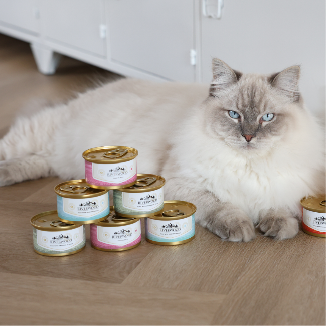 Comida húmeda para gatos con pescado | Atún con sierra | 85 gramos | Caviar para gatos
