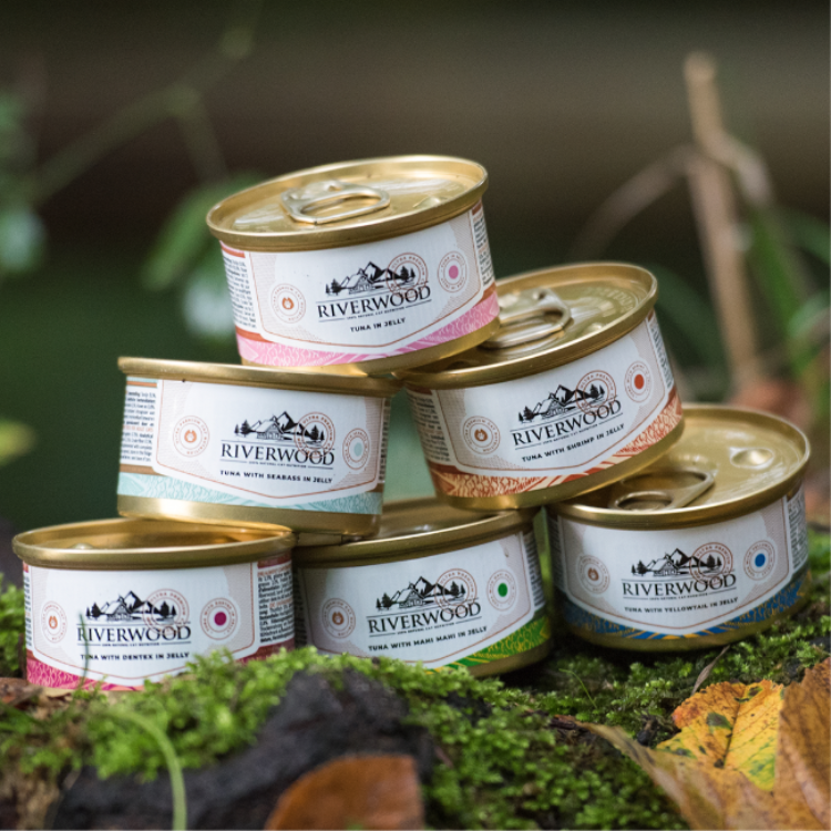 Natvoer voor Katten met vis | Tonijn in Gelei | 85 gram | Caviar for Cats