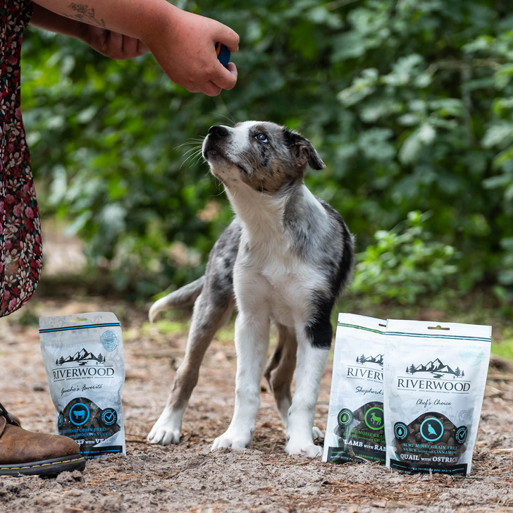 Dog snacks with meat | reward snacks | Chef's Choice - Quail & Ostrich | 200 grams