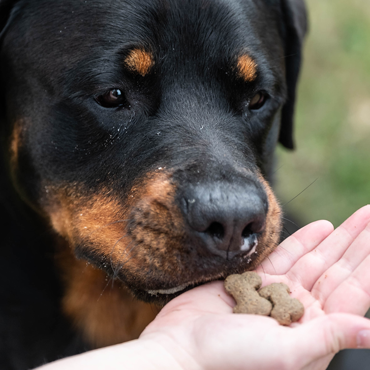 Crunchy & Semi-Moist Snack Pack | Dog | 6 x 200g | 1.2kg