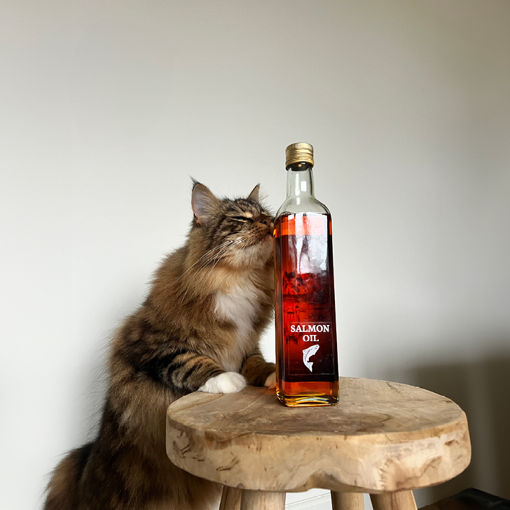 Complément pour chiens et chats | topping | huile de saumon norvégien | 500 ml