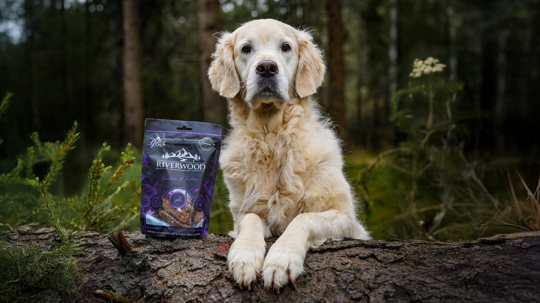 Betacaroteen-voor-honden