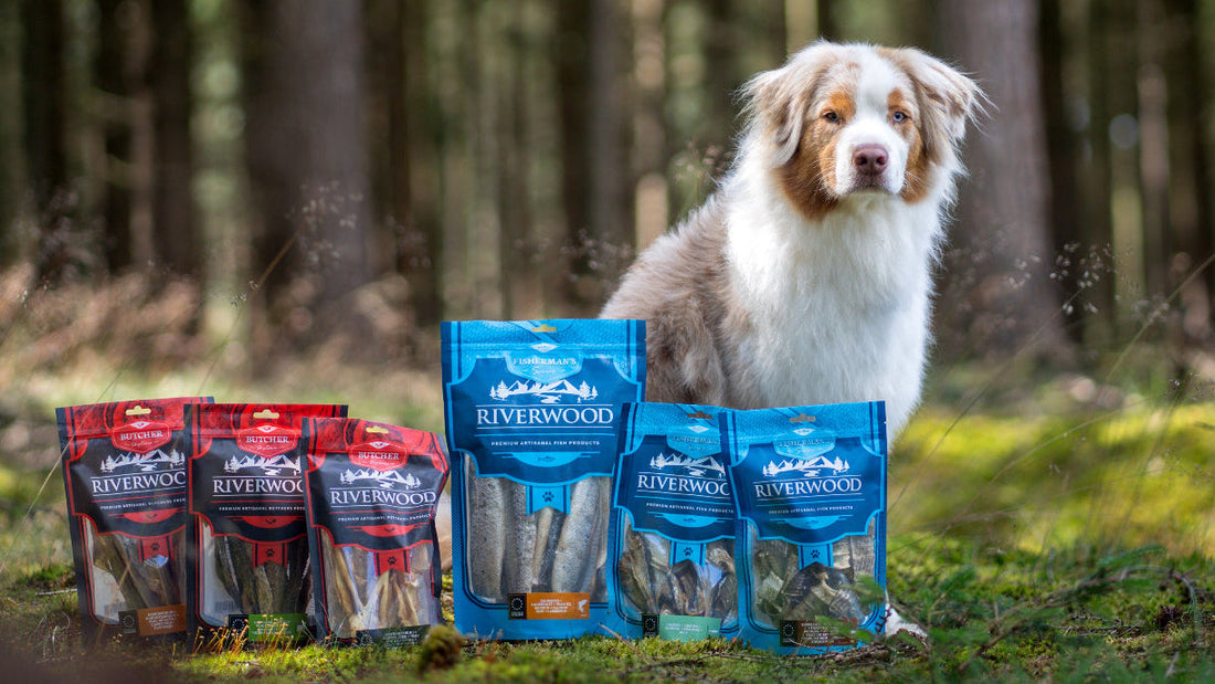 Betaine-voor-honden