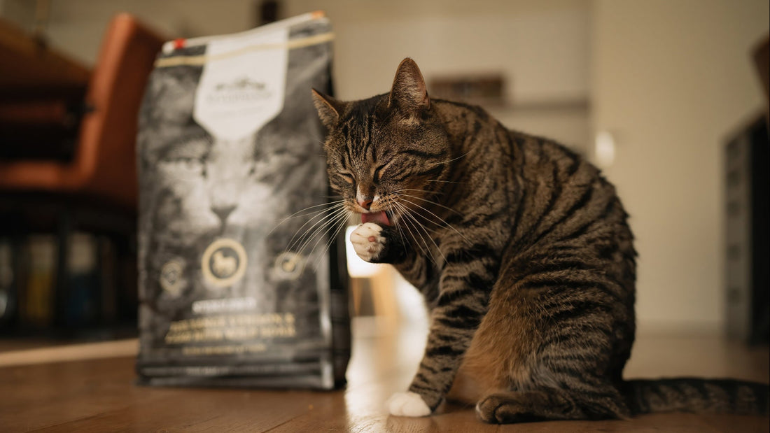 Vitamine-C-voor-katten-en-honden-1