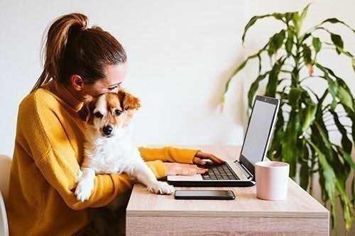 Mijn hond eet 's ochtends niet