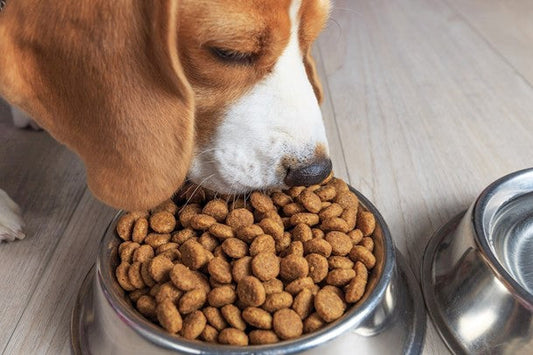 Is graanvrij hondenvoer beter voor mijn hond?