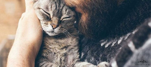De voordelen van hypoallergeen kattenvoer