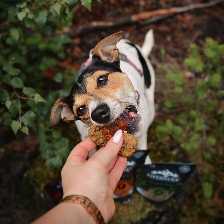 Zalm Snacks Hond
