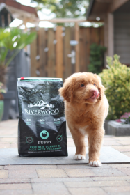 Voordeelpakket puppy