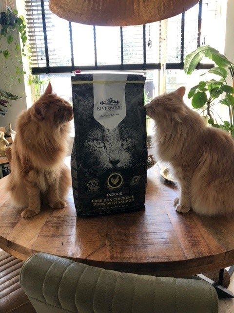 Grootverbruik Kat | Riverwood