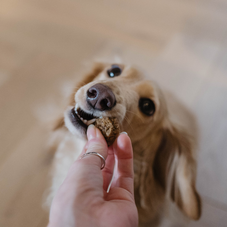 Hypoallergene hondensnacks