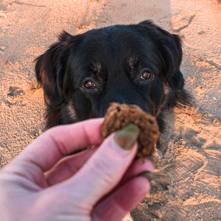 Gedroogde hondensnacks