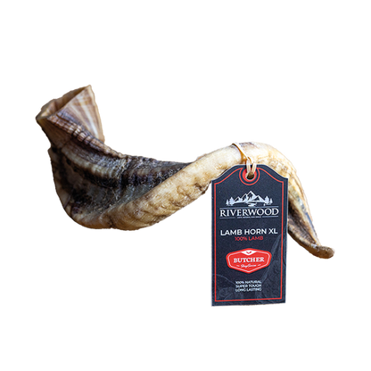 Kausnacks mit Fleisch | getrocknete Hundesnacks | Lammhorn XL | 1 Stück