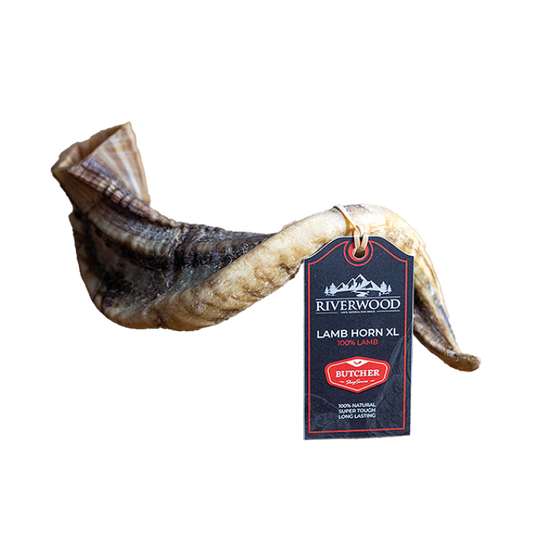 Kausnacks mit Fleisch | getrocknete Hundesnacks | Lammhorn XL | 1 Stück