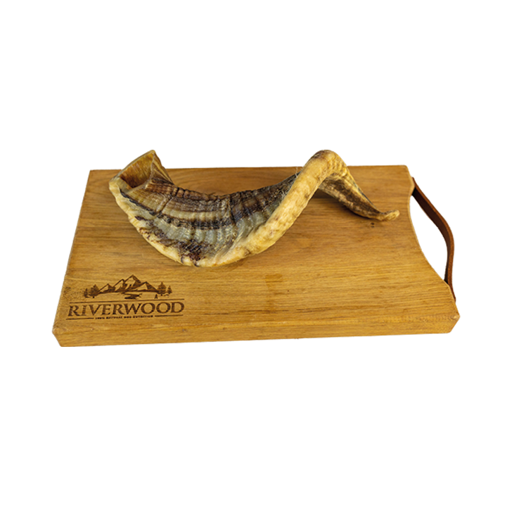Kausnacks mit Fleisch | getrocknete Hundesnacks | Lammhorn XL | 1 Stück
