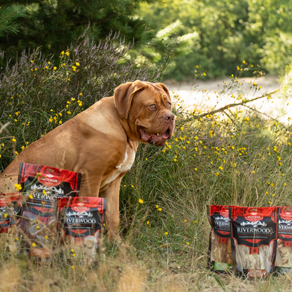 Chew snacks with meat | dried dog snacks | Lamb hide | 100 grams