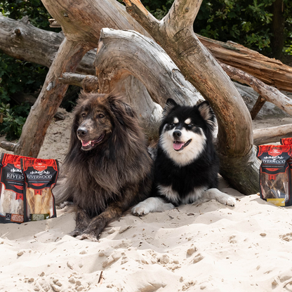 Chew snacks with meat | dried dog snacks | Beef flat | 150 grams