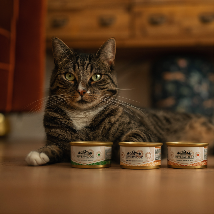 Wet food for Cats with fish | Tuna with Aloe Vera | 85 grams | Caviar for Cats