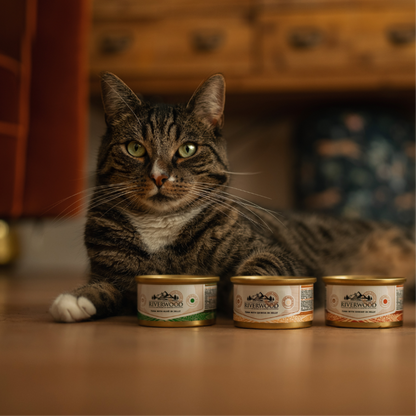 Wet food for Cats with fish | Tuna with Aloe Vera | 85 grams | Caviar for Cats