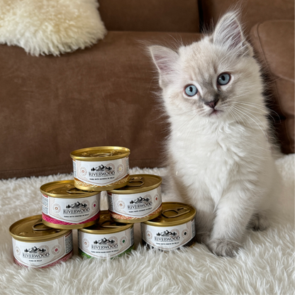 Wet food for Cats with fish | Tuna with Dentex | 85 grams | Caviar for Cats