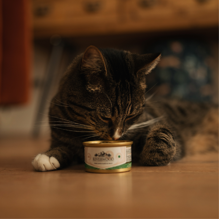 Natvoer voor Katten met vis | Tonijn met Goudmakreel | 85 gram | Caviar for Cats