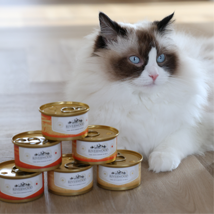Comida húmeda para gatos con pescado | Atún con mango | 85 gramos | Caviar para gatos