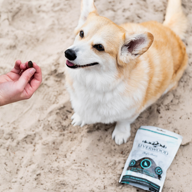 Dog snacks with meat | reward snacks | Chef's Choice - Quail & Ostrich | 200 grams