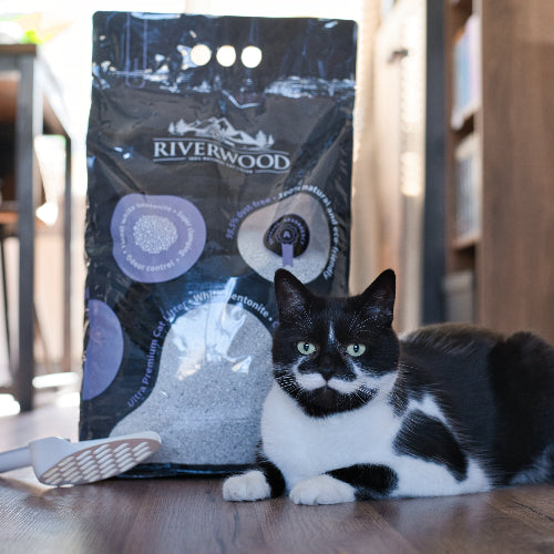 Bentoniet Kattenbakvulling | Stofvrij | 12 KG | Lavendel