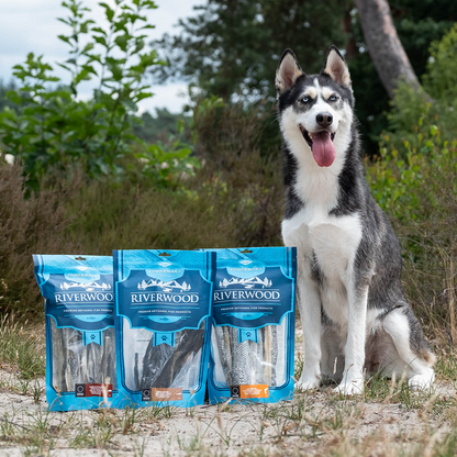Chew snacks with fish | dried dog snacks | Cod skin 18-22 cm | 200 grams