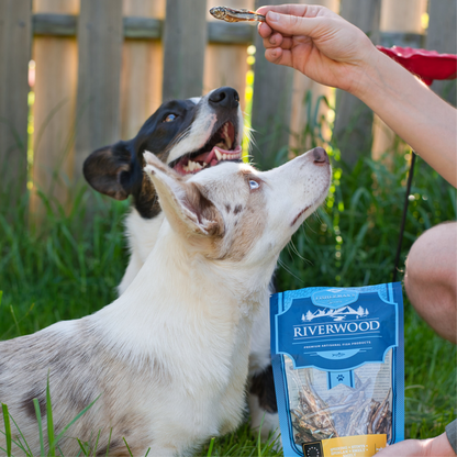 Snacks masticables con pescado | snacks secos para perros y gatos | Eperlano | 60 gramos