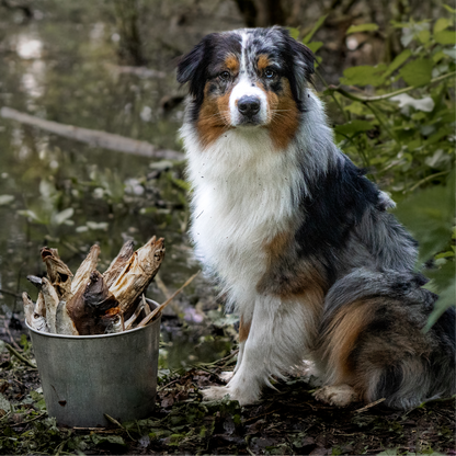 Kausnacks mit Fisch | getrocknete Hundesnacks | Wittling | 250 Gramm