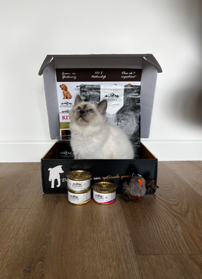 Kitten Start Pakket van Riverwood