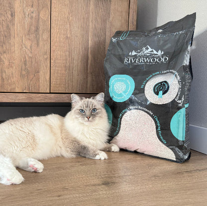 Bentoniet Kattenbakvulling | Stofvrij | 12 KG | Babypoeder