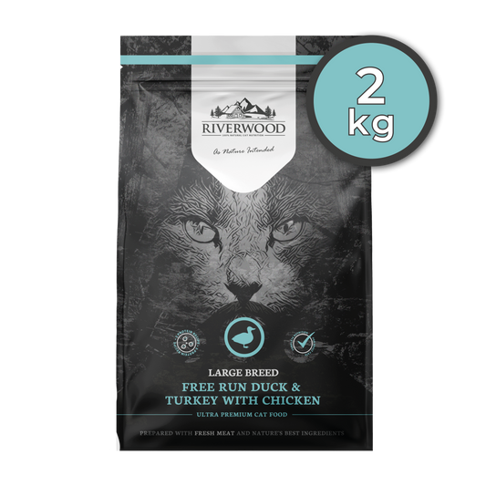 Trockenfutter für Katzen mit Fleisch | Kroketten | Large Breed Ente & Truthahn mit Huhn