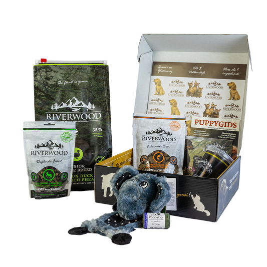 Riverwood Junior Large Breed Startpaket für Hunde
