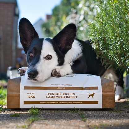 Dry food with meat | kibble | Venison & Lamb with Rabbit