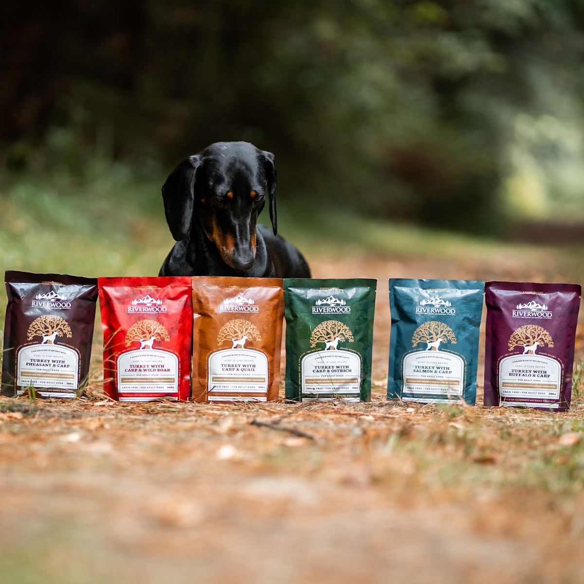 Natvoer vlees en vis | hond | Surf ‘n Turf Proeverij | 6st/300 gr