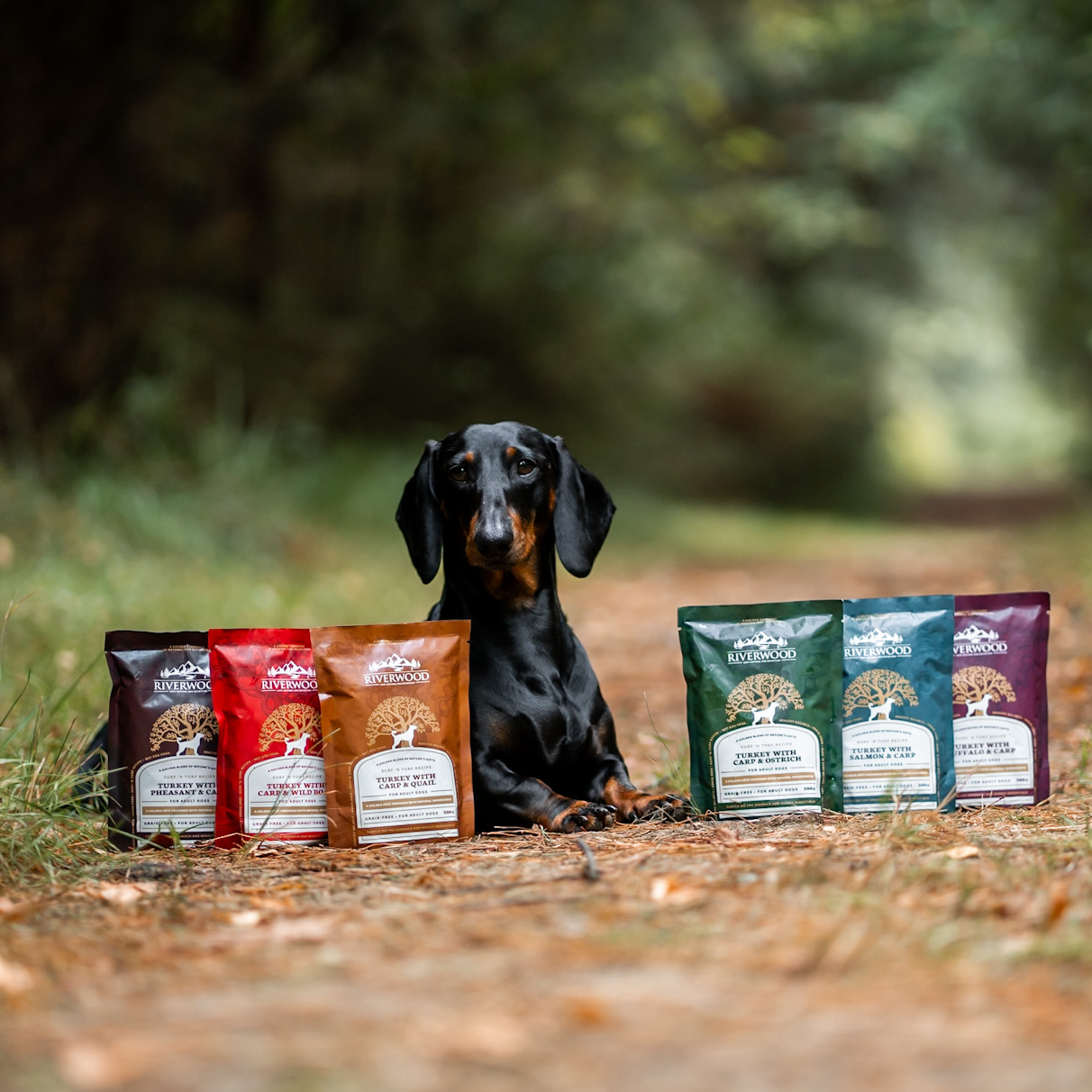 Natvoer vlees en vis | hond | Surf ‘n Turf Proeverij | 6st/300 gr