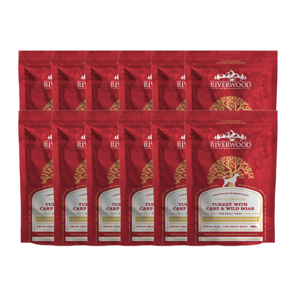 Nassfutter Fleisch und Fisch | Hund | Adult Surf 'n Turf Truthahn mit Wildschwein & Karpfen | 12x300 Gramm