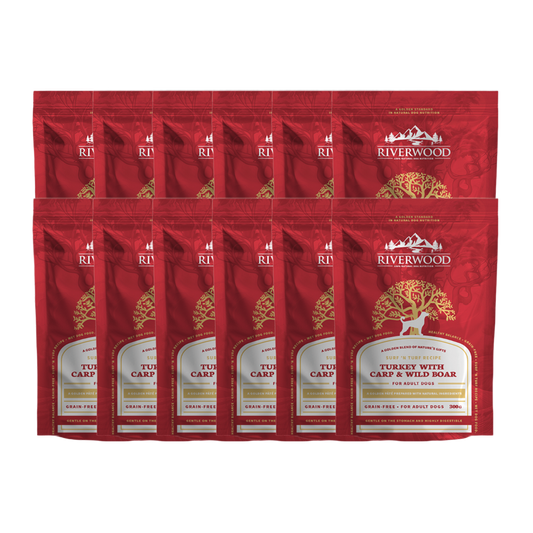 Nassfutter Fleisch und Fisch | Hund | Adult Surf 'n Turf Truthahn mit Wildschwein & Karpfen | 12x300 Gramm