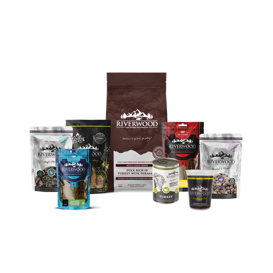 Dog food with meat | Adult Large Breed Duck & Turkey with Pheasant food package XXL