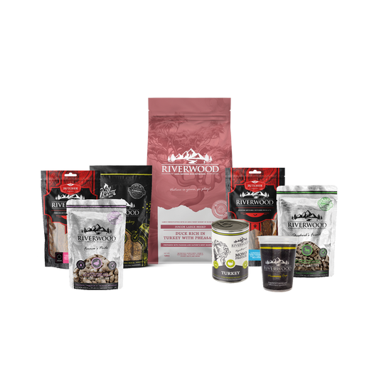 Hundefutter mit Fleisch | Futterpaket Junior Large Breed Ente & Truthahn mit Fasan XXL