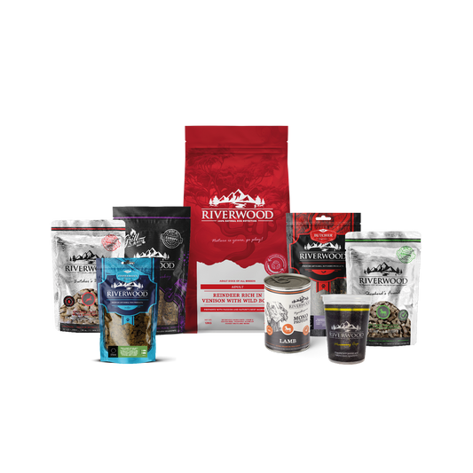Dog food with meat | Reindeer & Venison Meal Pack with Wild Boar XXL