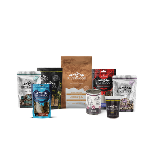 Dog food with meat | Small Breed Goose & Duck with Quail XXL food package