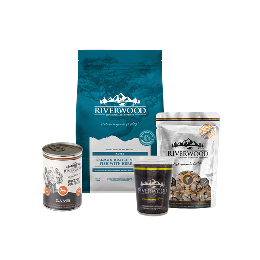 Dog food with fish | Salmon & Whitefish Food Pack with Herring XL