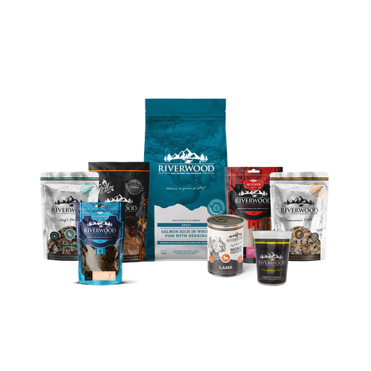 Dog food with fish | Salmon & Whitefish Food Package with Herring XXL