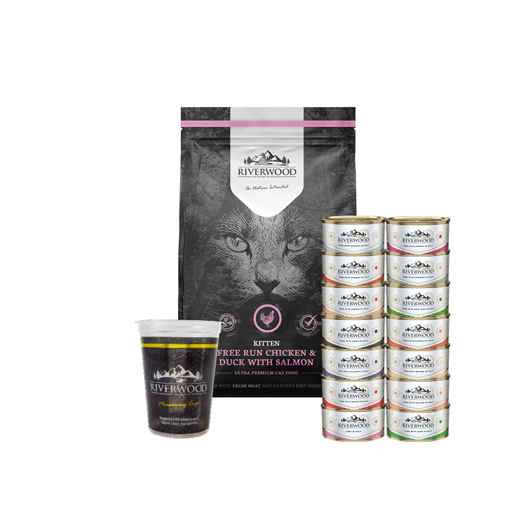 Kitten food with meat and fish | Kitten Value Pack XXL