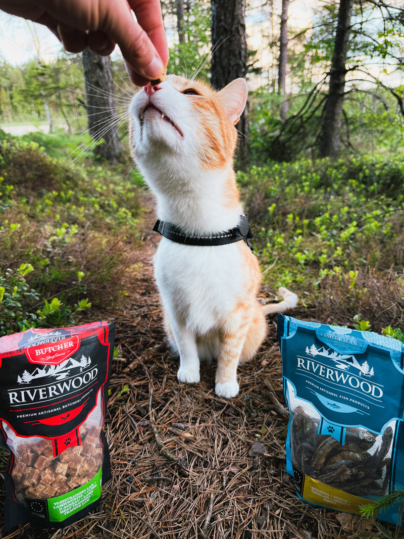 Friandises pour chats