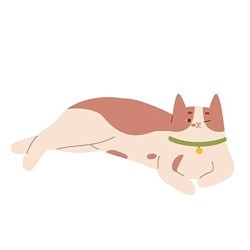 relaxed-body-posture-cat